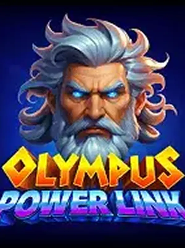 Olympus Power Link